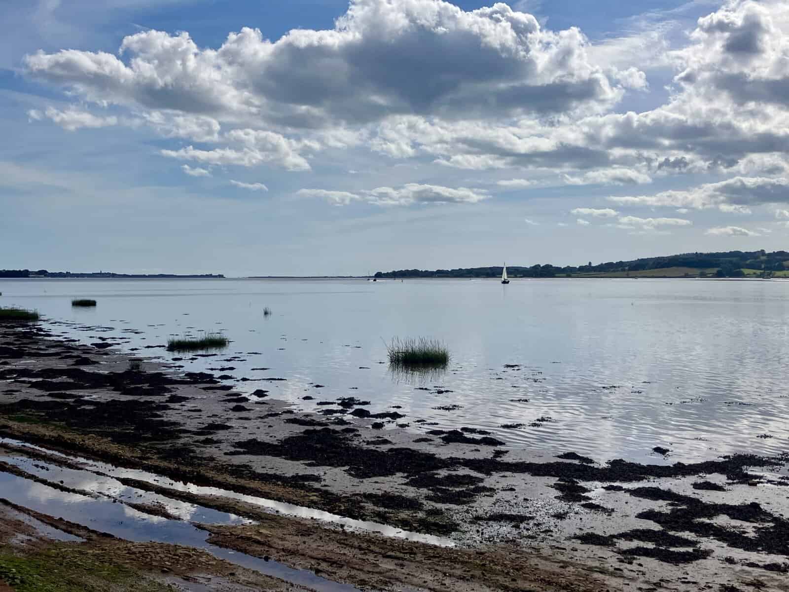 Things to Do in Topsham, Devon: A Complete Visitor Guide