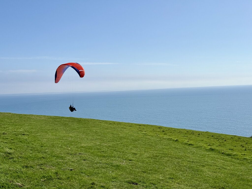 Paraglider flying above the grassy cliffs near Beer Head with Lyme Bay beyond.