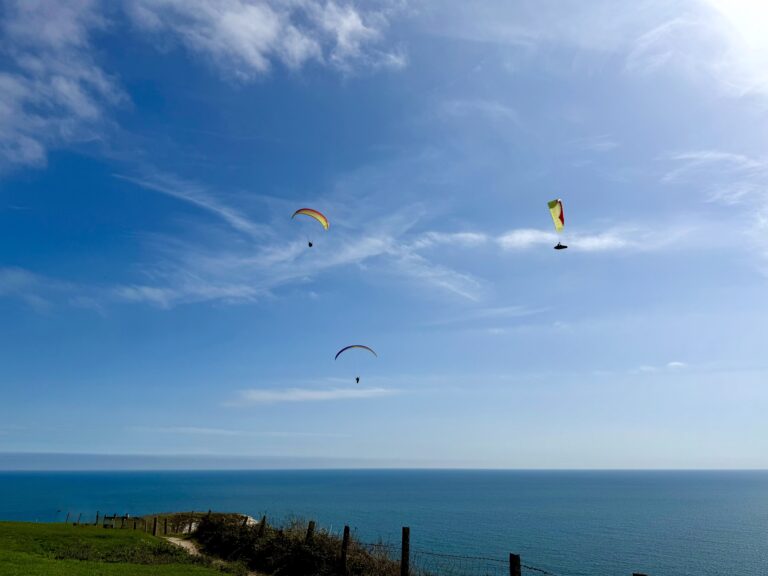 Paragliders over Beer Head with blue sea and sky.