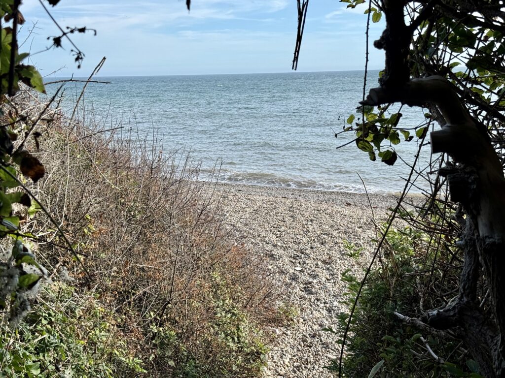 Hooken Beach near Beer, viewed through trees and coastal vegetation towards the pebble shore and sea.