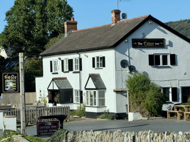 Things to Do in Honiton: A Visitor's Guide