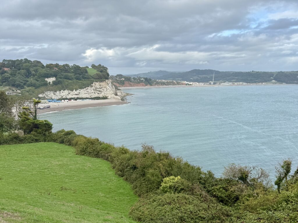 View from Beer Head across Beer Beach and Lyme Bay towards Seaton, with green fields and white chalk cliffs in the foreground.