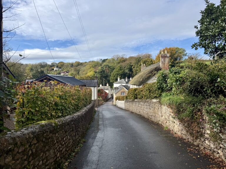 Quiet country lane in Salcome Regis, Devon, lined with stone cottages and greenery on a sunny day.