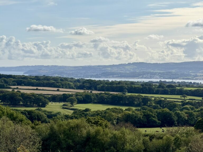 Heathlan, green fields, River Exe and South West Coast from Woodbury Common