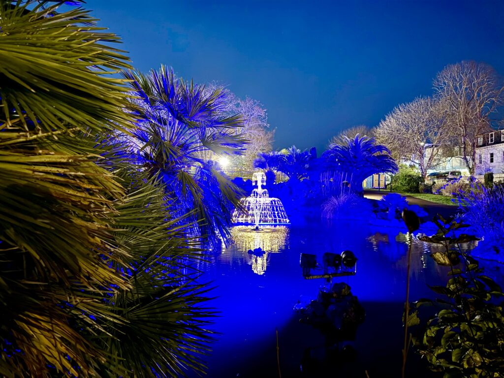 Illuminated fountain and palm trees glowing blue at Torre Abbey Gardens during the Bay of Lights Illumination Trail in Torquay.