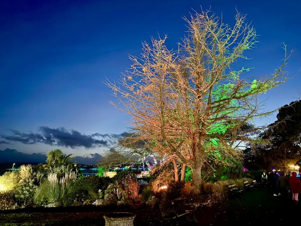Trees illuminated with colourful lights at Torre Abbey Gardens during the Bay of Lights Illumination Trail in Torquay.