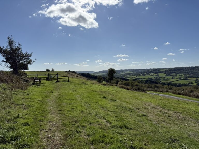 Bench on Hartridge Common overlooking the green rolling slopes of the Blackdown Hills on a bright sunny day, with wide open views across the landscape.