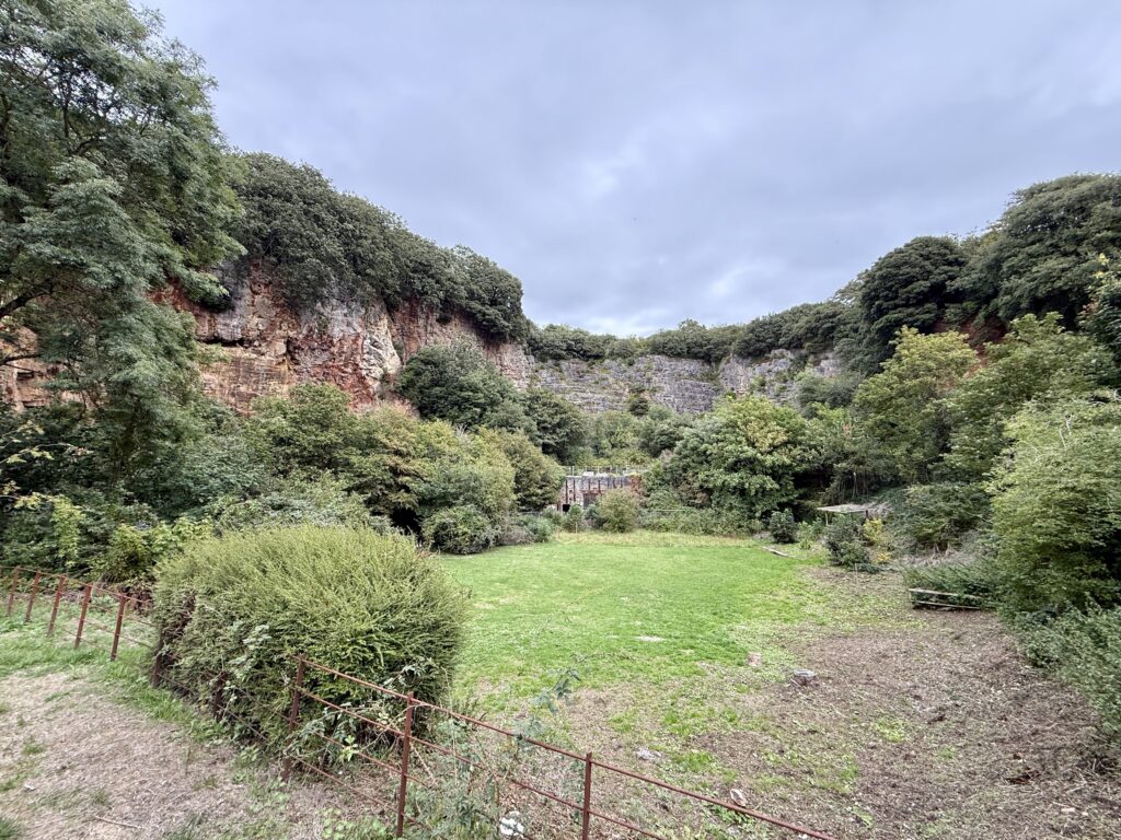 Old Town Quarry in Weston-super-Mare, with limestone cliffs, trees and a grassy clearing.