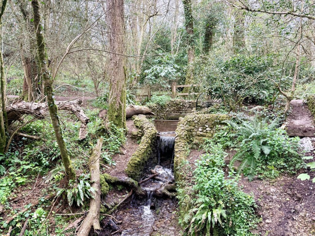 Wayford Woods Somerset with small stone bridge and stream cascade surrounded by woodland and ferns.