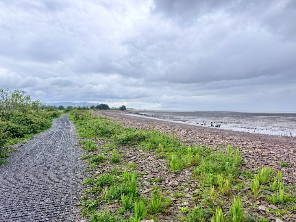 West Somerset Coast path near Blue Anchor joining the Steam Coast Trail, with shingle beach, low tide shoreline and open views along the Somerset coast towards Dunster.
