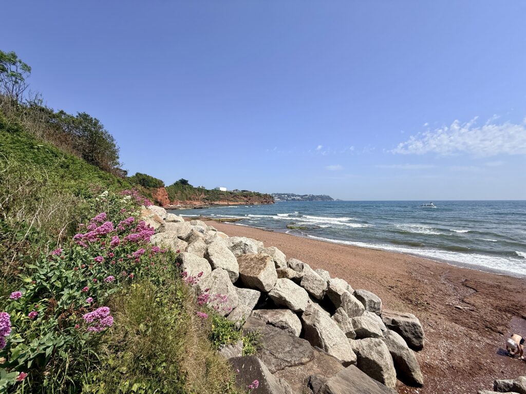 Hollicombe Beach on the English Riviera showing its secluded red sand beach, rocky shoreline and red sandstone cliffs on a sunny day.
