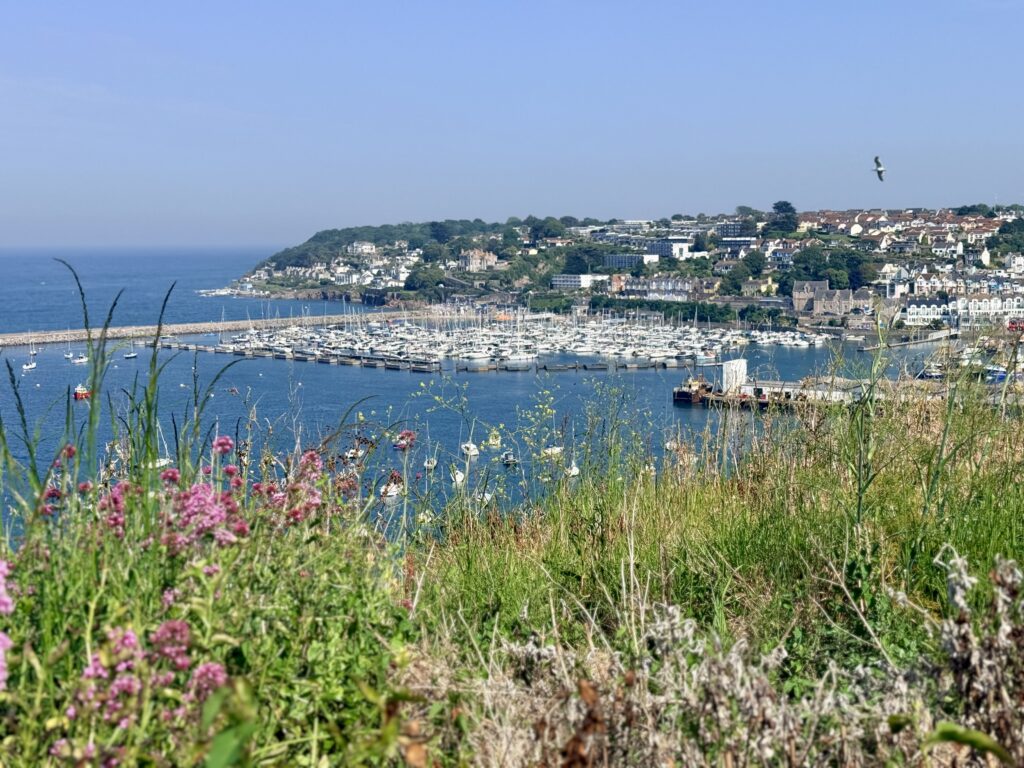 View across Brixham Harbour showing the marina, breakwater and colourful waterfront from Battery Gardens on the English Riviera.