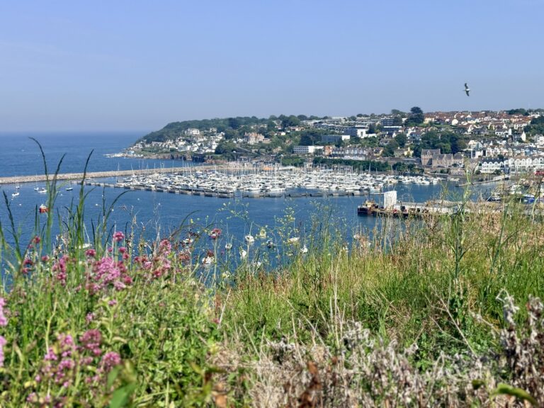 View across Brixham Harbour showing the marina, breakwater and colourful waterfront from Battery Gardens on the English Riviera.