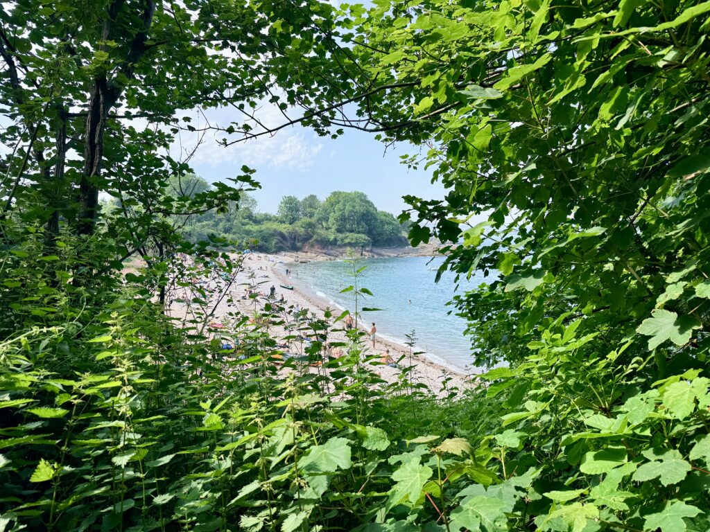 Elberry Cove on the English Riviera viewed through woodland, showing the secluded shingle beach and clear waters of Torbay on a sunny day.