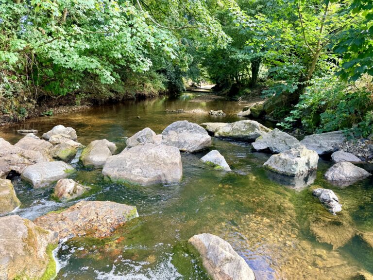 The Byes Sidmouth walk following the shallow, tree-lined River Sid between Sidford and Sidmouth