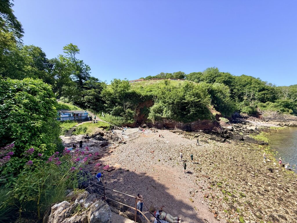 Visitors exploring the sheltered beach at Fishcombe Cove during sunny summer weather in Brixham, with the seasonal café and wooded slopes behind.