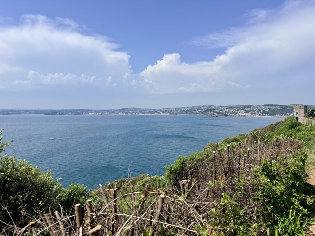 Blue sea stretching across Tor Bay towards Paignton, viewed over coastal vegetation from the South West Coast Path