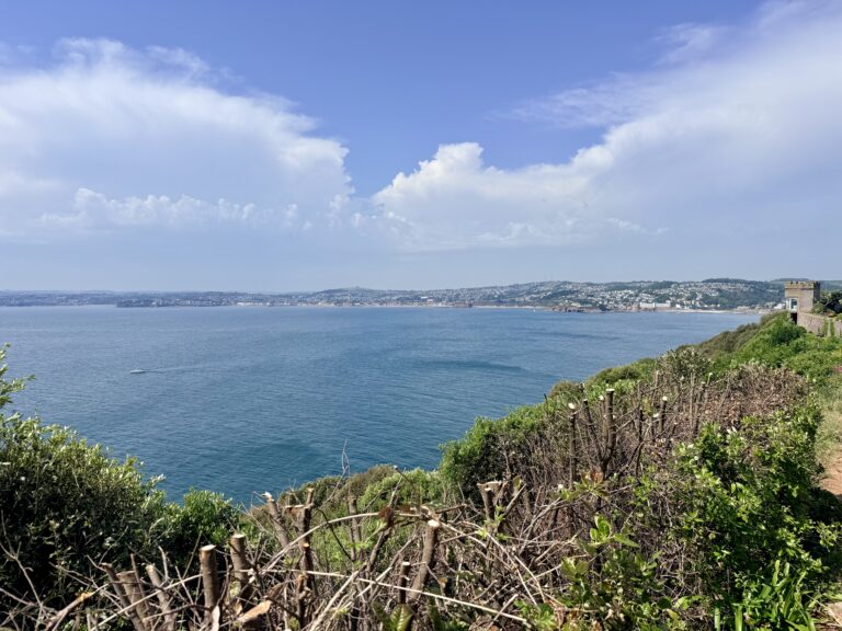 Blue sea stretching across Tor Bay towards Paignton, viewed over coastal vegetation from the South West Coast Path