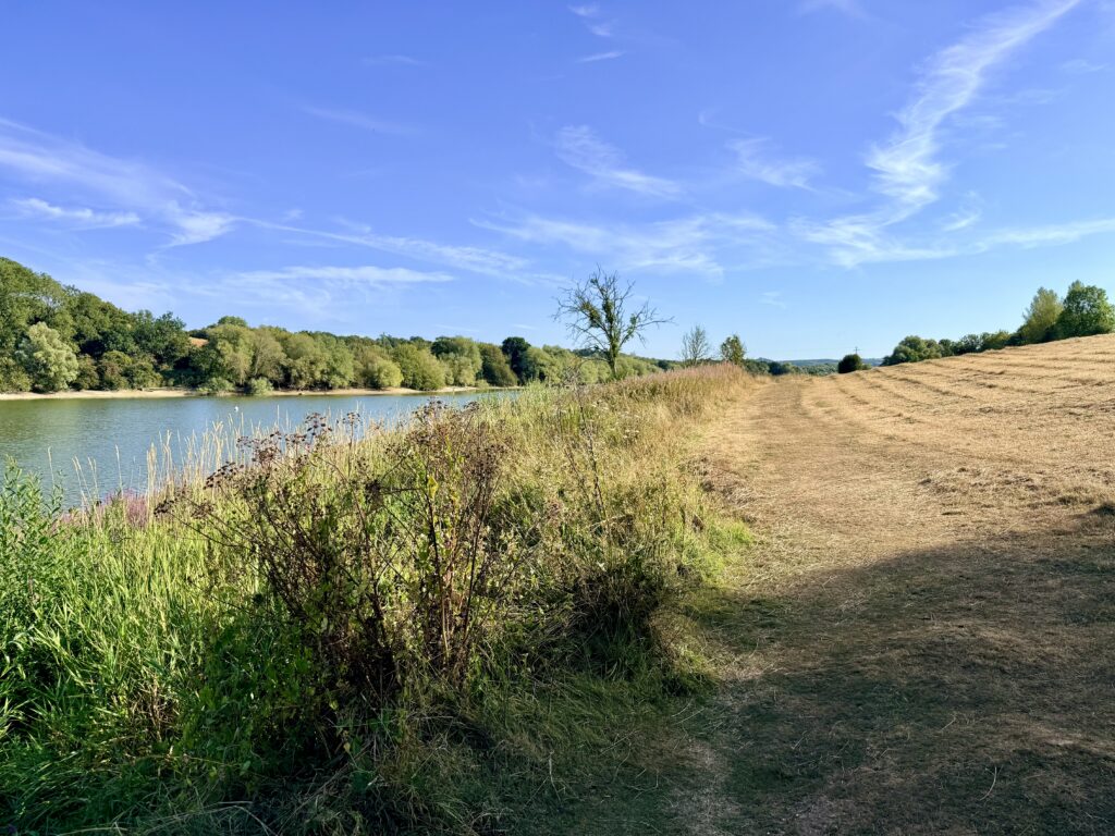 Grassy Meadow Trail running beside the water at Sutton Bingham Reservoir beneath a bright blue sky.