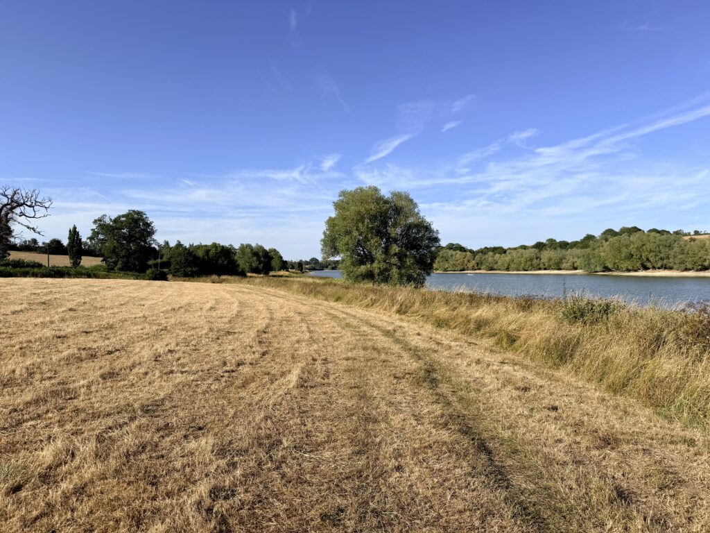 Mown grass path following the shoreline of Sutton Bingham Reservoir, with trees and dry meadowland beneath a blue sky.