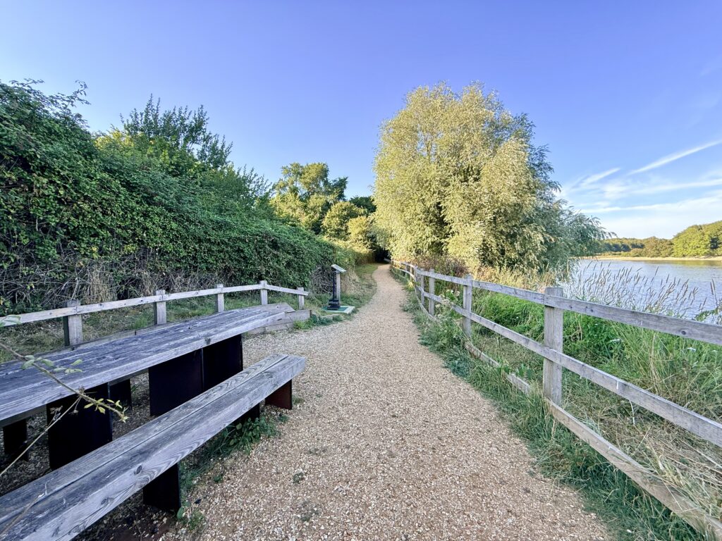 Accessible gravel path and picnic bench overlooking Sutton Bingham Reservoir.