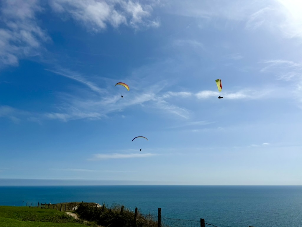 Paragliders flying above Beer Head and the sea on the East Devon coast.