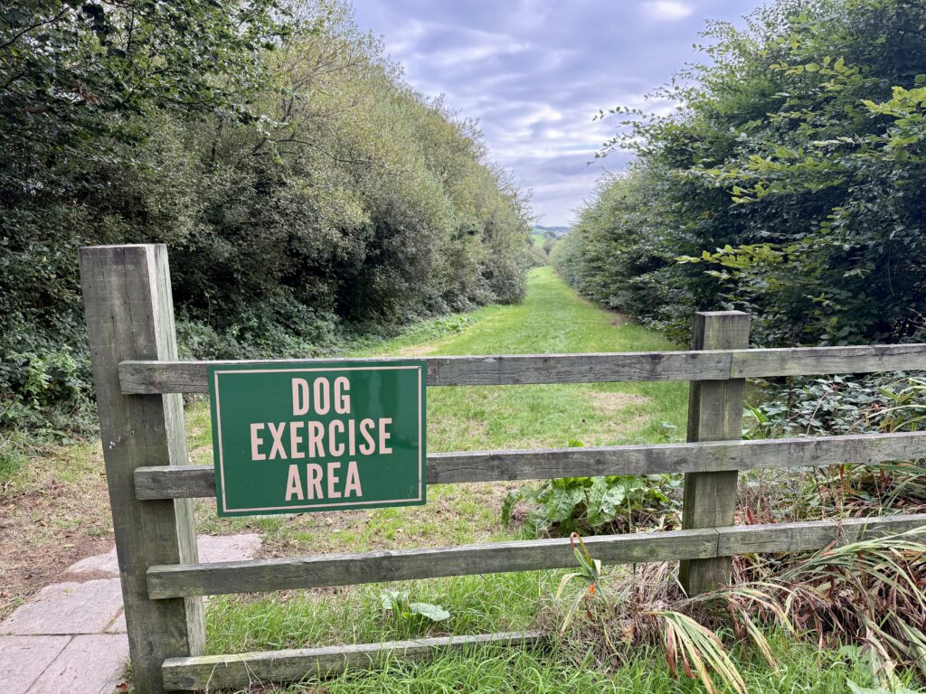 Dog exercise area at Stowford Farm Meadows with a long grassy path surrounded by trees and hedges.