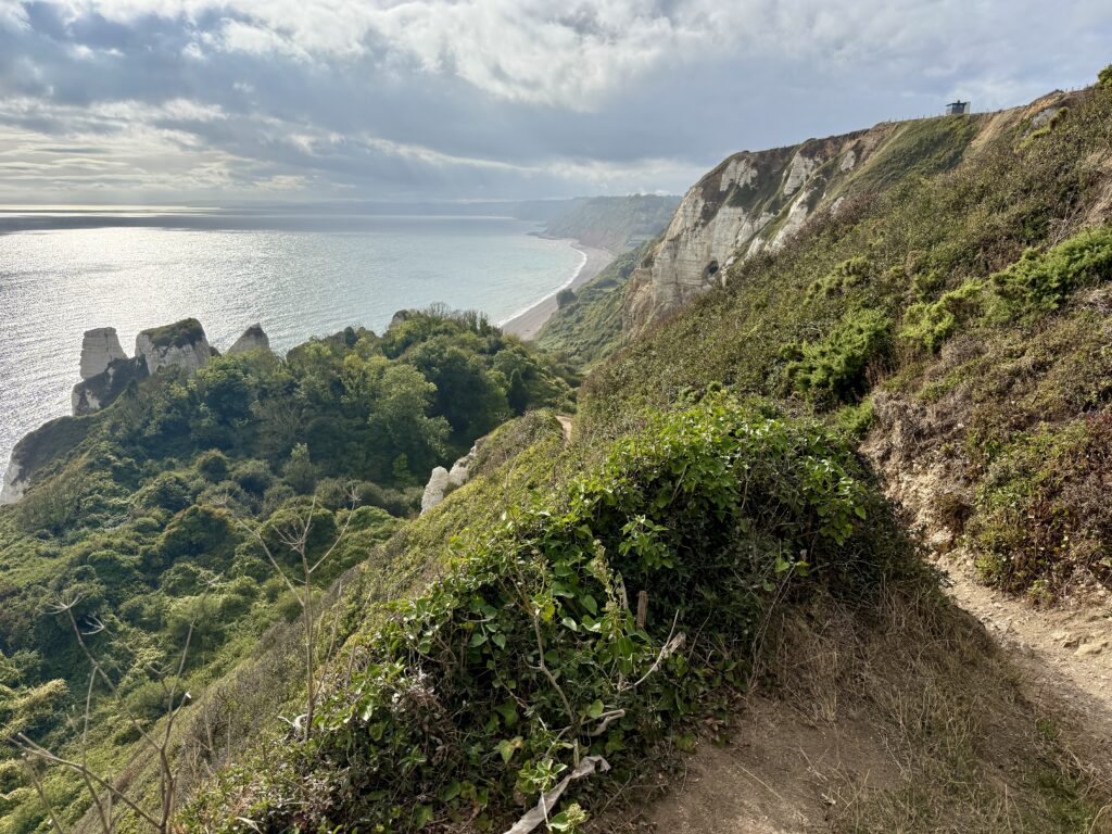 Narrow footpath descending through Hooken Undercliff towards Hooken Beach.
