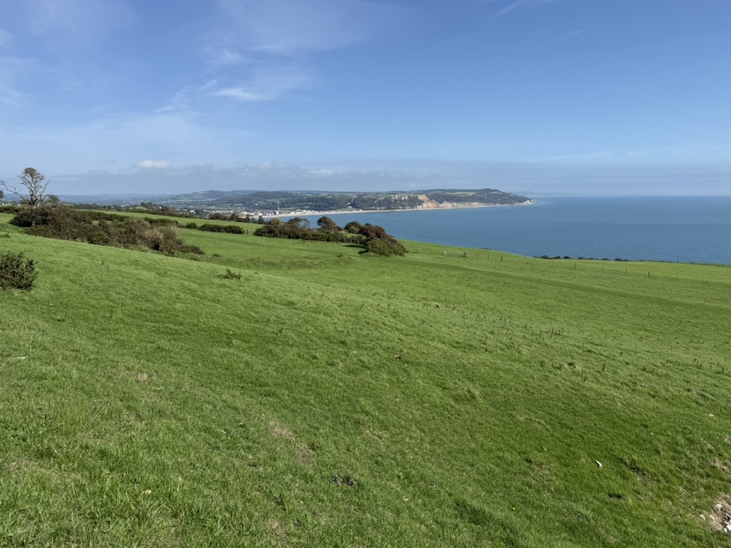 Green clifftop fields beside the South West Coast Path between Branscombe and Beer, with Seaton visible along the East Devon coast.