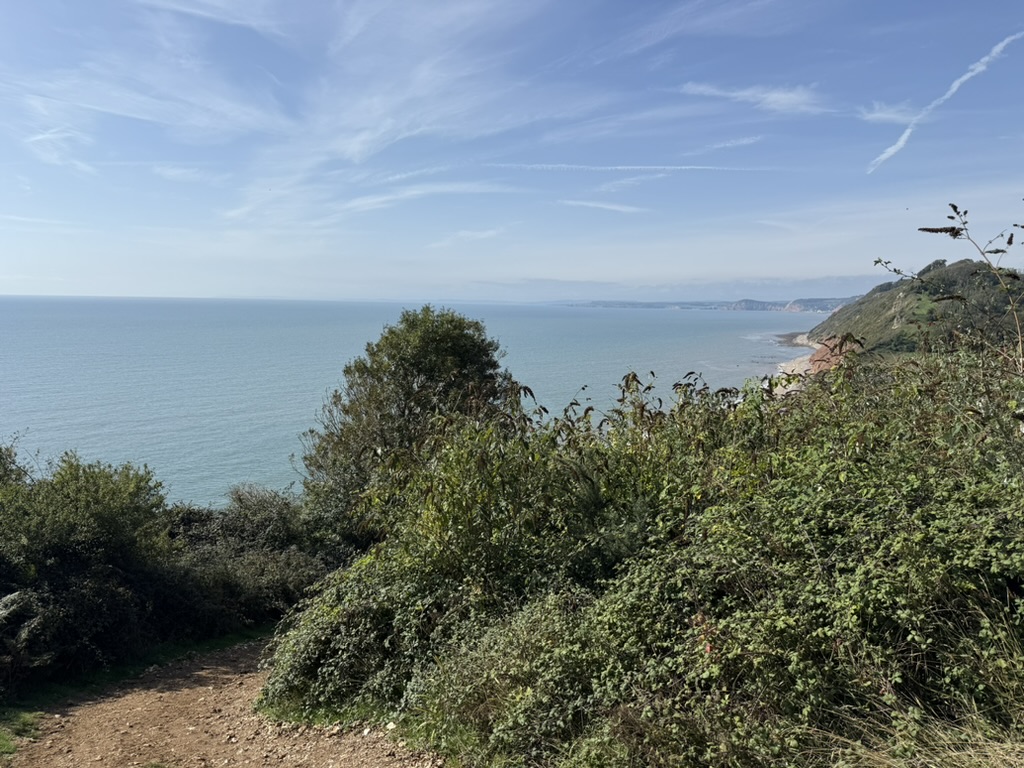 Steep coastal path descending East Cliff towards Branscombe Beach.