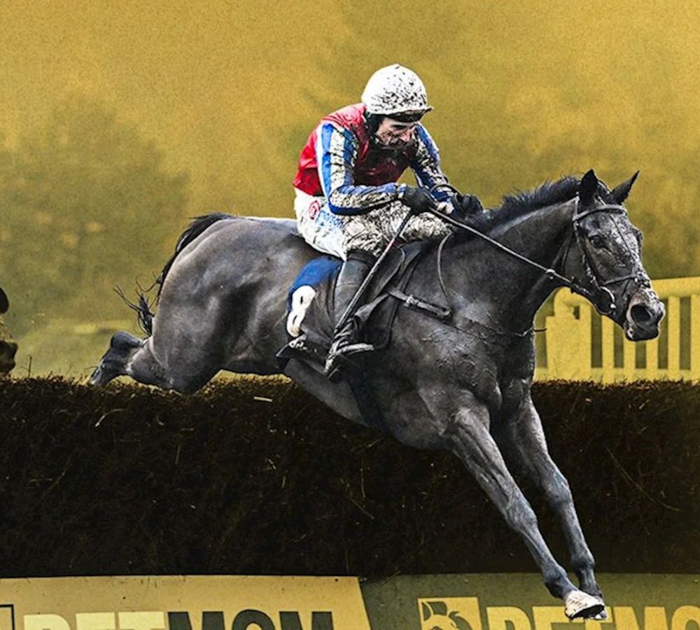 Racehorse and jockey jumping a fence during the Haldon Gold Cup at Exeter Racecourse.