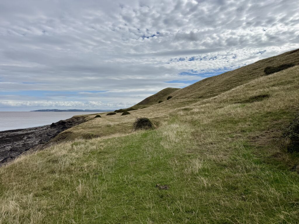 Grassy coastal path along the Bristol Channel from Sand Point towards Middle Hope