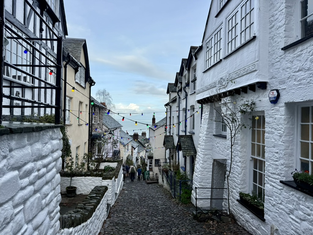 Looking down Clovelly's narrow cobbled street between historic whitewashed cottages towards the sea.